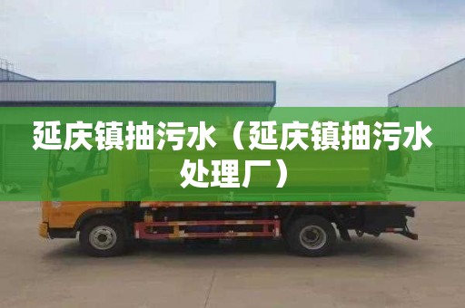 延庆镇抽污水（延庆镇抽污水处理厂）