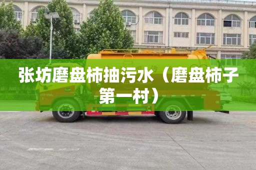 张坊磨盘柿抽污水（磨盘柿子第一村）