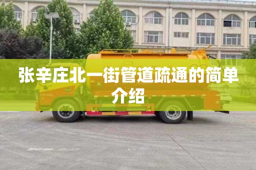 张辛庄北一街管道疏通的简单介绍