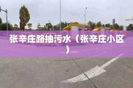 张辛庄路抽污水（张辛庄小区）