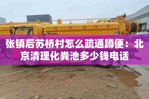 张镇后苏桥村怎么疏通蹲便：北京清理化粪池多少钱电话