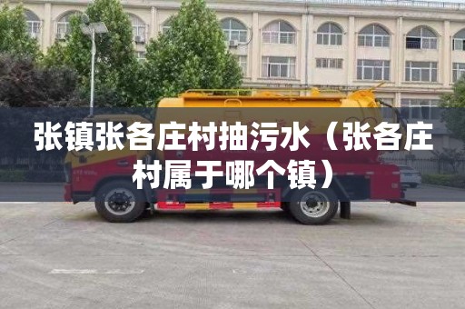 张镇张各庄村抽污水（张各庄村属于哪个镇）
