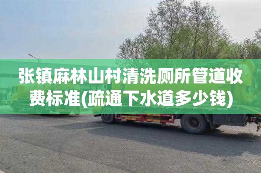 张镇麻林山村清洗厕所管道收费标准(疏通下水道多少钱)