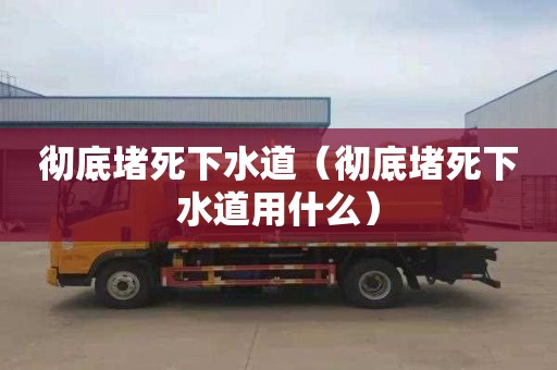 彻底堵死下水道（彻底堵死下水道用什么）