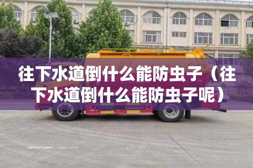 往下水道倒什么能防虫子（往下水道倒什么能防虫子呢）