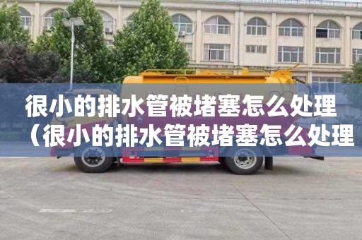 很小的排水管被堵塞怎么处理（很小的排水管被堵塞怎么处理好）
