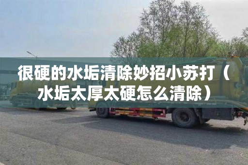 很硬的水垢清除妙招小苏打（水垢太厚太硬怎么清除）