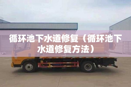 循环池下水道修复（循环池下水道修复方法）