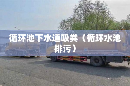 循环池下水道吸粪（循环水池排污）