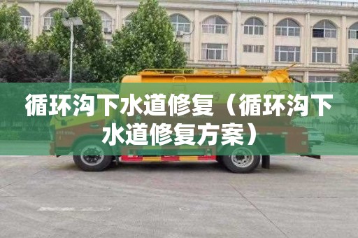 循环沟下水道修复（循环沟下水道修复方案）
