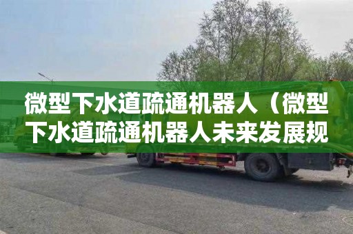 微型下水道疏通机器人（微型下水道疏通机器人未来发展规划）