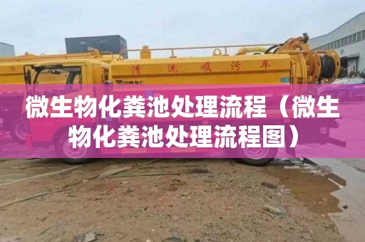 微生物化粪池处理流程（微生物化粪池处理流程图）