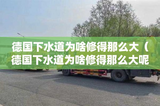 德国下水道为啥修得那么大（德国下水道为啥修得那么大呢）