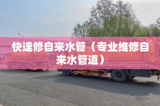 快速修自来水管（专业维修自来水管道）