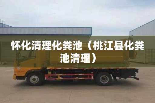 怀化清理化粪池（桃江县化粪池清理）