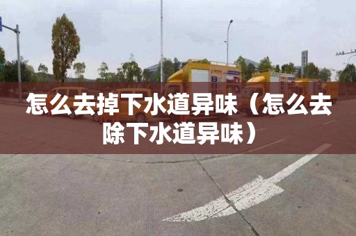 怎么去掉下水道异味（怎么去除下水道异味）