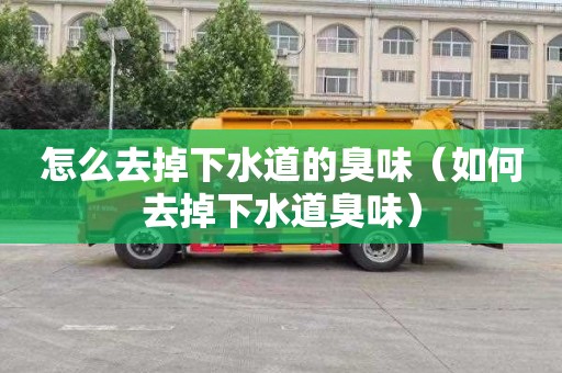 怎么去掉下水道的臭味（如何去掉下水道臭味）