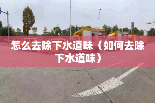 怎么去除下水道味（如何去除下水道味）