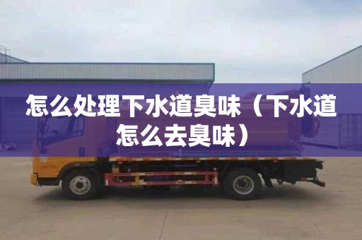 怎么处理下水道臭味（下水道怎么去臭味）