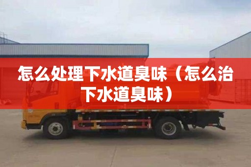 怎么处理下水道臭味（怎么治下水道臭味）