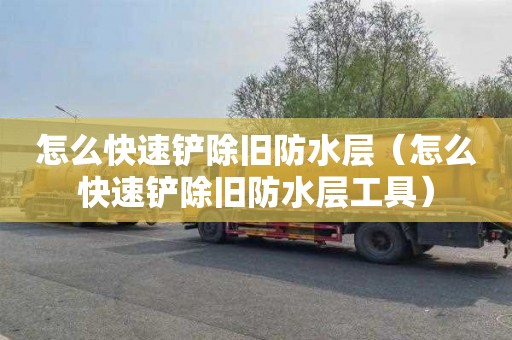 怎么快速铲除旧防水层（怎么快速铲除旧防水层工具）