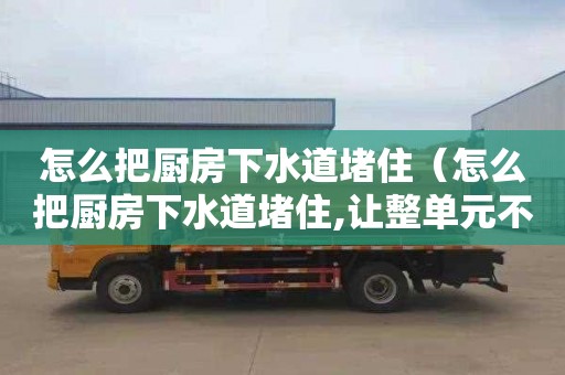 怎么把厨房下水道堵住（怎么把厨房下水道堵住,让整单元不能用下水）