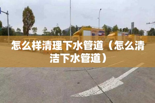怎么样清理下水管道（怎么清洁下水管道）