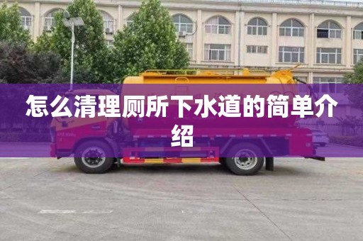 怎么清理厕所下水道的简单介绍