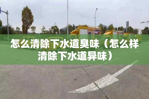 怎么清除下水道臭味（怎么样清除下水道异味）