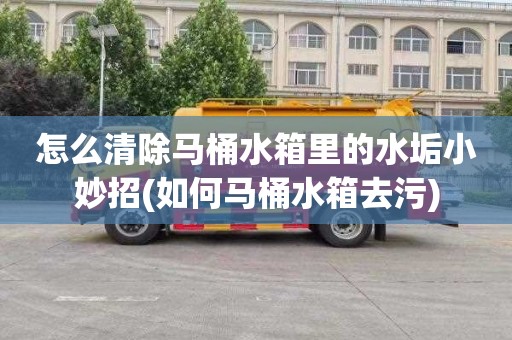 怎么清除马桶水箱里的水垢小妙招(如何马桶水箱去污)