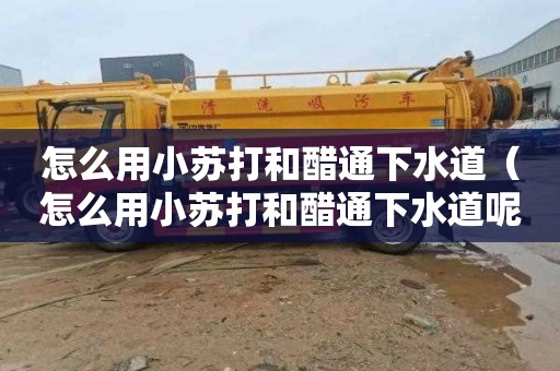 怎么用小苏打和醋通下水道（怎么用小苏打和醋通下水道呢）