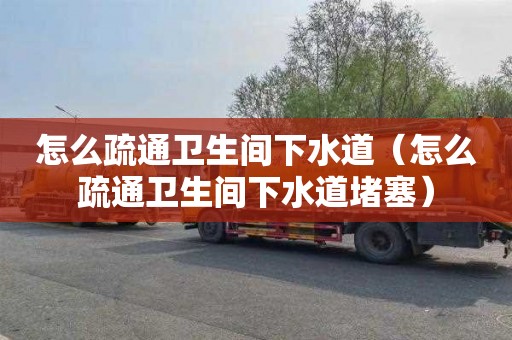 怎么疏通卫生间下水道（怎么疏通卫生间下水道堵塞）