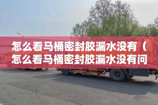 怎么看马桶密封胶漏水没有（怎么看马桶密封胶漏水没有问题）
