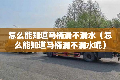 怎么能知道马桶漏不漏水（怎么能知道马桶漏不漏水呢）