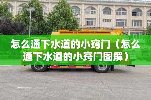 怎么通下水道的小窍门（怎么通下水道的小窍门图解）