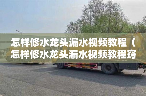 怎样修水龙头漏水视频教程（怎样修水龙头漏水视频教程窍门图片）