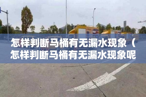 怎样判断马桶有无漏水现象（怎样判断马桶有无漏水现象呢）