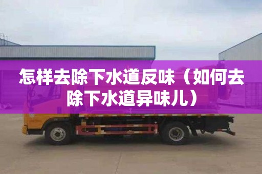 怎样去除下水道反味（如何去除下水道异味儿）