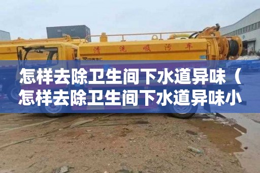 怎样去除卫生间下水道异味（怎样去除卫生间下水道异味小妙招）