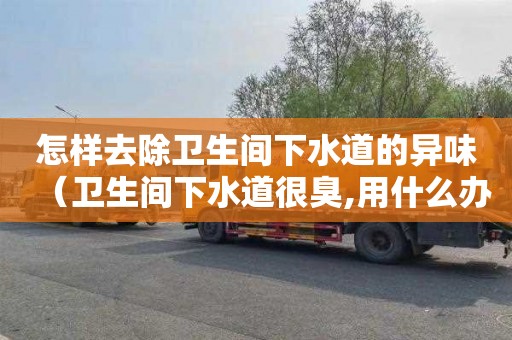 怎样去除卫生间下水道的异味（卫生间下水道很臭,用什么办法能解除臭味?）