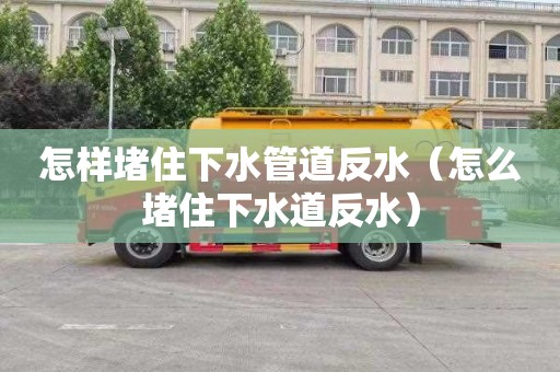 怎样堵住下水管道反水（怎么堵住下水道反水）