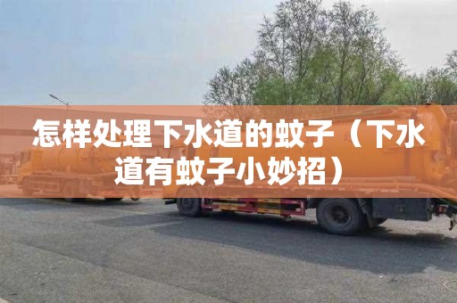 怎样处理下水道的蚊子（下水道有蚊子小妙招）