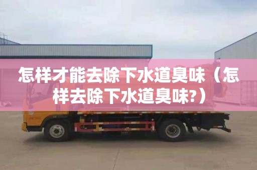 怎样才能去除下水道臭味（怎样去除下水道臭味?）