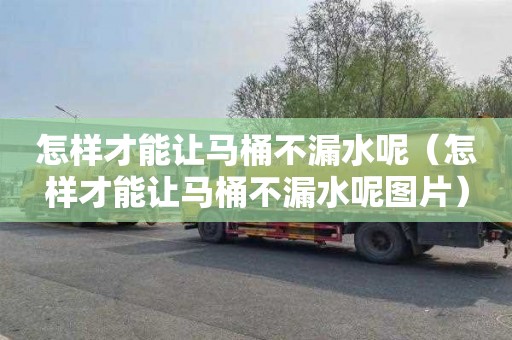 怎样才能让马桶不漏水呢（怎样才能让马桶不漏水呢图片）