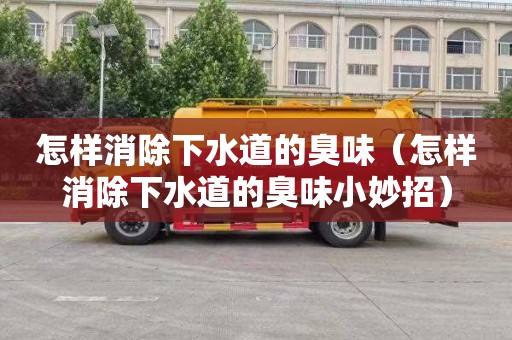 怎样消除下水道的臭味（怎样消除下水道的臭味小妙招）