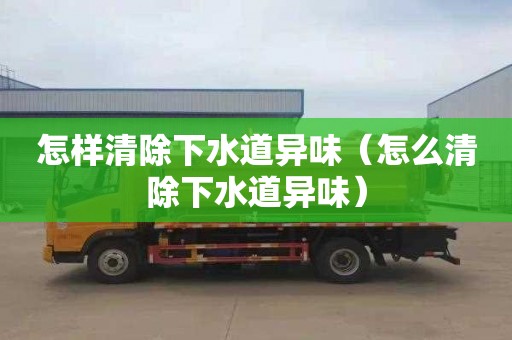 怎样清除下水道异味（怎么清除下水道异味）