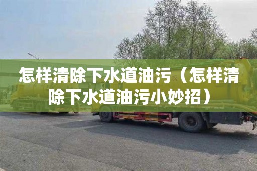 怎样清除下水道油污（怎样清除下水道油污小妙招）