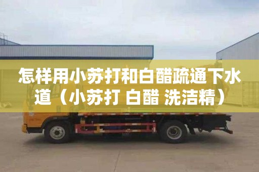 怎样用小苏打和白醋疏通下水道（小苏打+白醋+洗洁精）