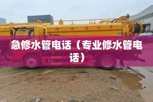 急修水管电话（专业修水管电话）