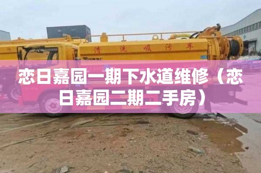 恋日嘉园一期下水道维修（恋日嘉园二期二手房）